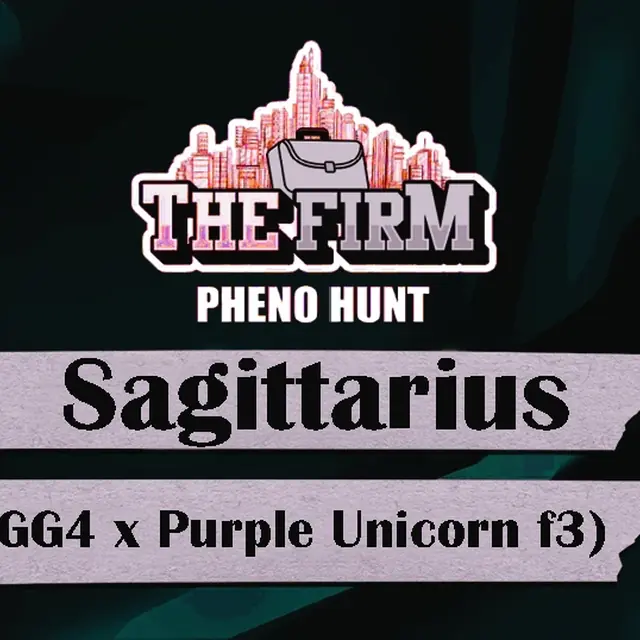 The Firm- Sagittarius