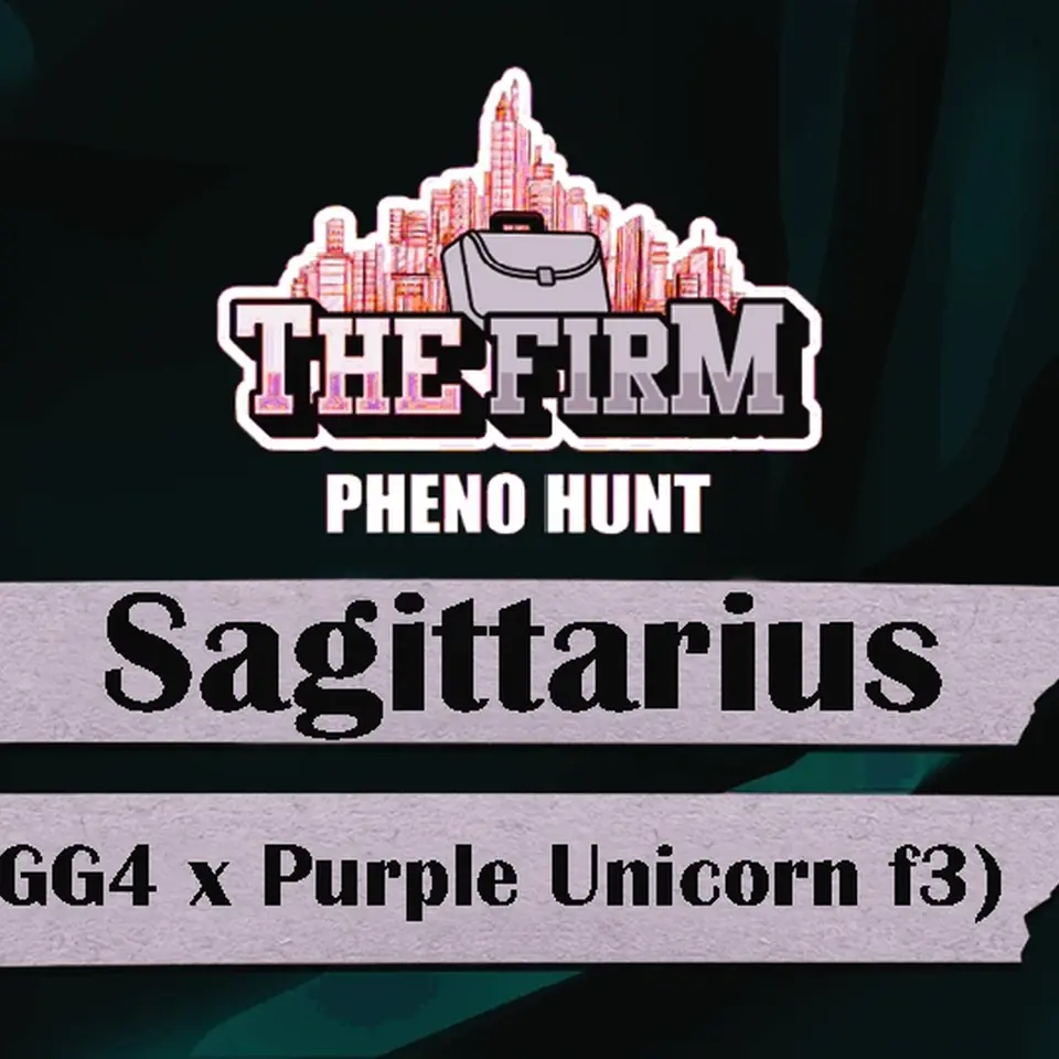 The Firm- Sagittarius