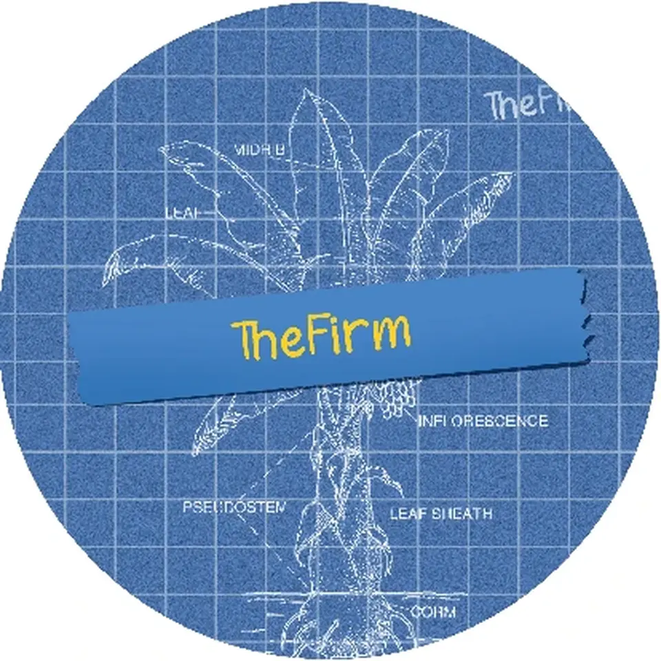 The Firm - Saba Banana #14 90-120u 2 Gram Cold Cure