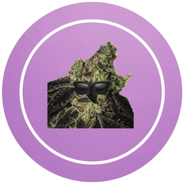 R3trowave - 707 Ube
