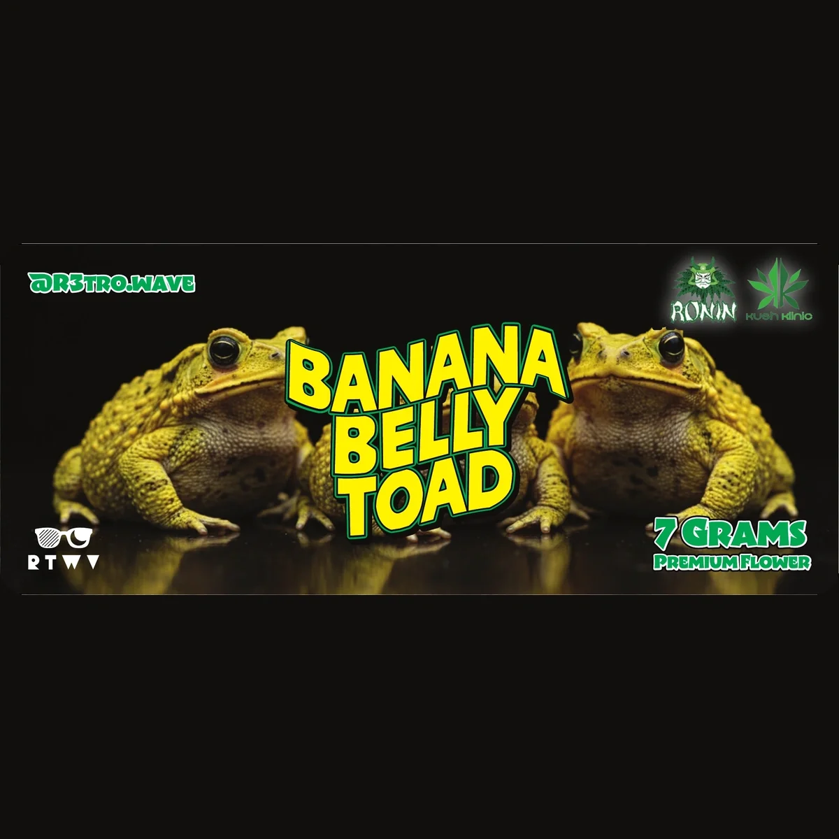 R3troWave- Banana Belly Toad