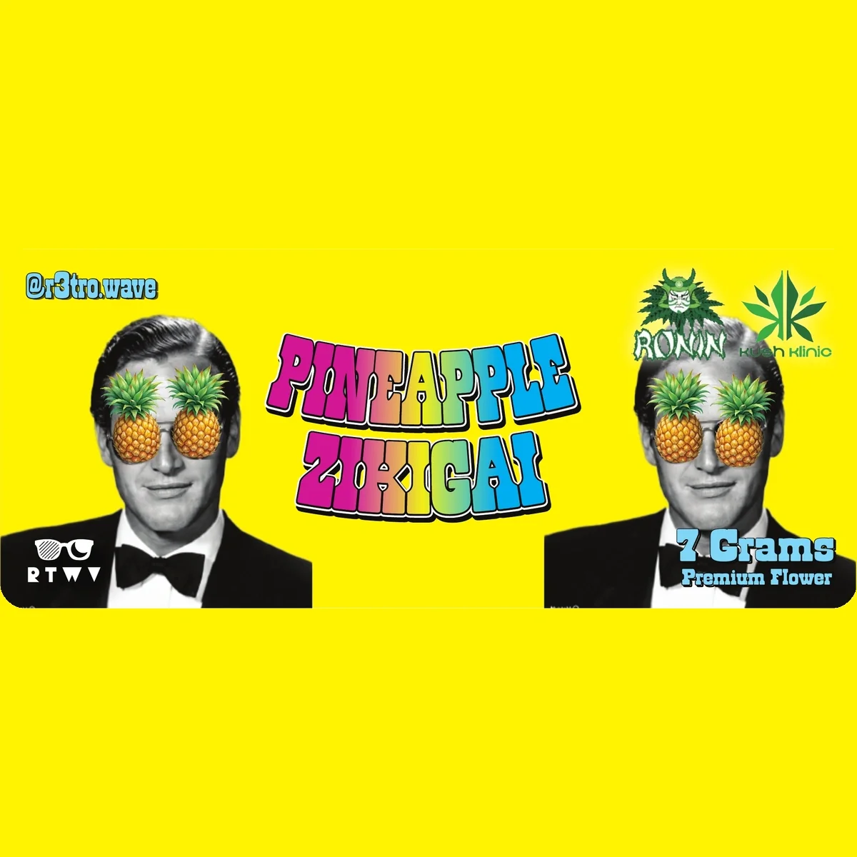 R3troWave- Pineapple ZIkigai