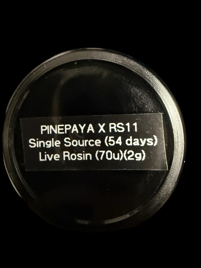 Trichadelics X Single Source - PinePaya X RS#11 70u 2g Cold Cure - Image 2