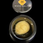 MushMelts - Honey Trop #18 70-149u Cold Cure - Image 2