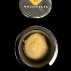 MushMelts - French Kiwi Juice #2 2g 70-149u Cold Cure - Image 2