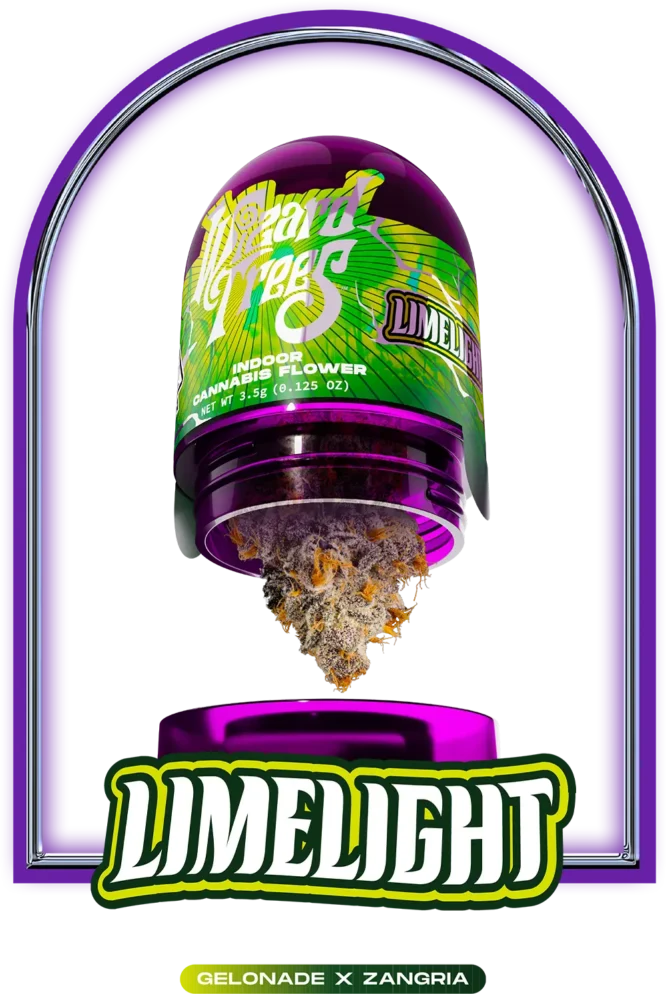Wizard Trees - LimeLight