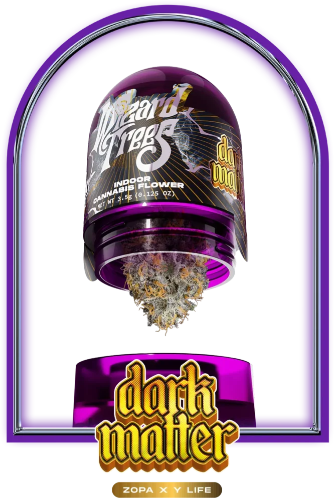 Wizard Trees - Dark Matter (Zopa X Y Life)