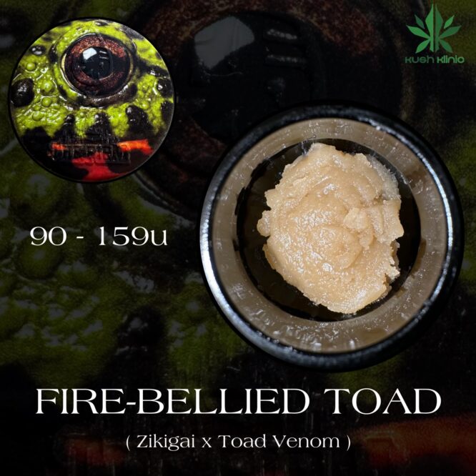 REZN Extracts X The Firm - Fire Bellied Toad 90-159u Cold Cure 2G