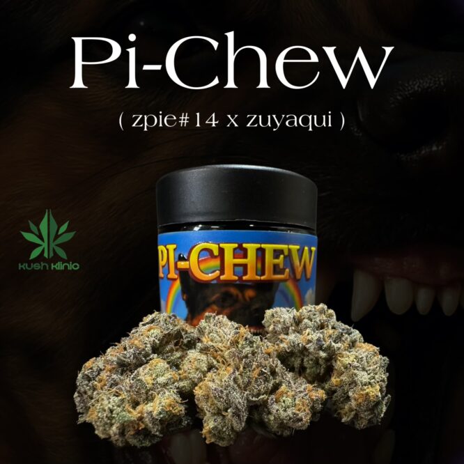 The Firm- Pi Chew Living Soil