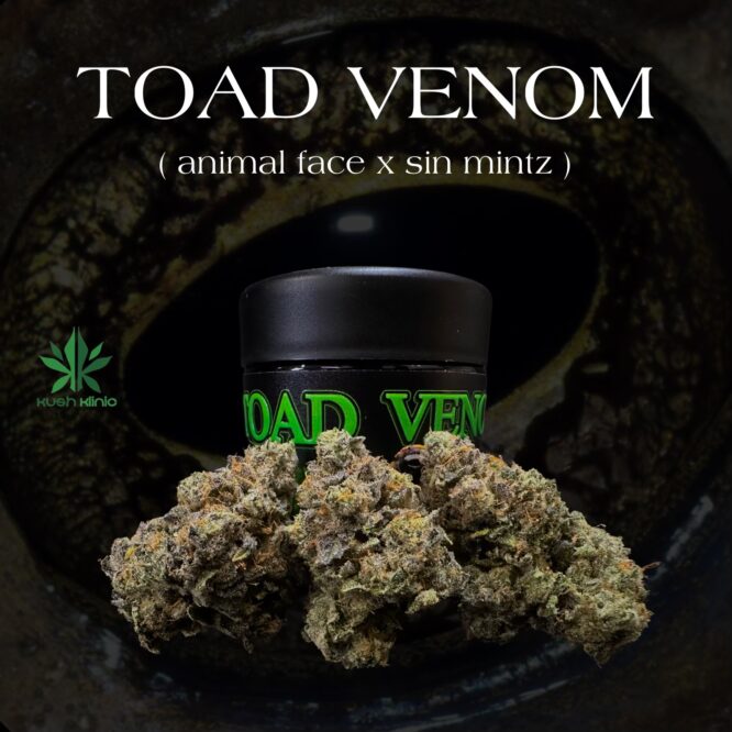 The Firm- Toad Venom Living Soil