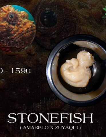 REZN Extracts X The Firm - Stone Fish 90-159u Cold Cure 2G