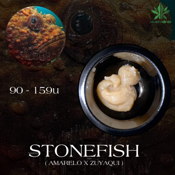 REZN Extracts X The Firm - Stone Fish 90-159u Cold Cure 2G