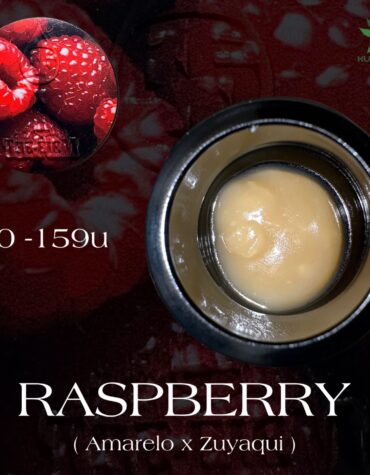 REZN Extracts X The Firm - Raspberry 90-159u Cold Cure 2G