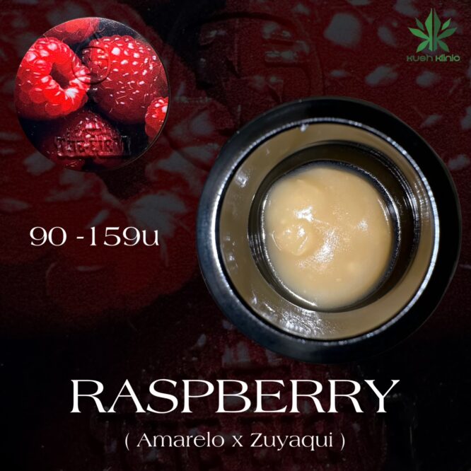 REZN Extracts X The Firm - Raspberry 90-159u Cold Cure 2G
