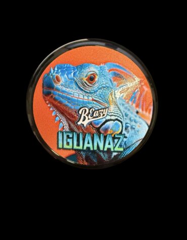 B Eazy- Iguanaz