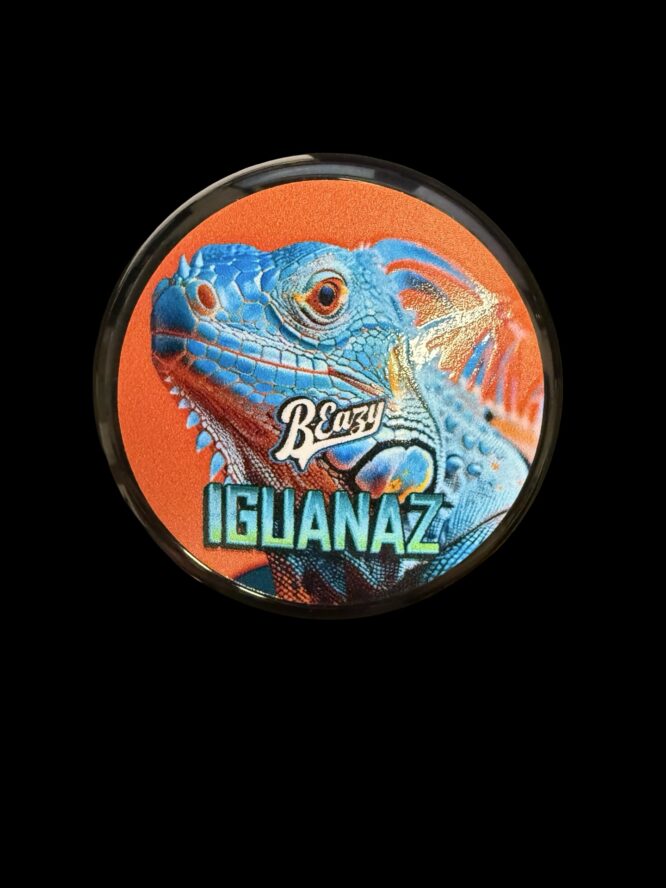 B Eazy- Iguanaz
