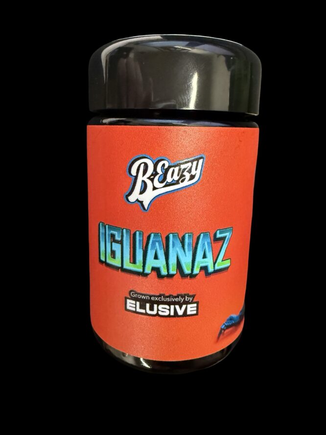 B Eazy- Iguanaz - Image 2