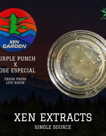 Xen Garden - Purple Punch X Rose Especial 2g FRESH PRESS Live Rosin