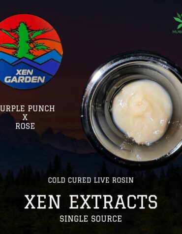 Xen Garden - Purple Punch X Rose Especial 2g Cold Cure Live Rosin