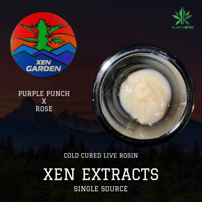Xen Garden - Purple Punch X Rose Especial 2g Cold Cure Live Rosin