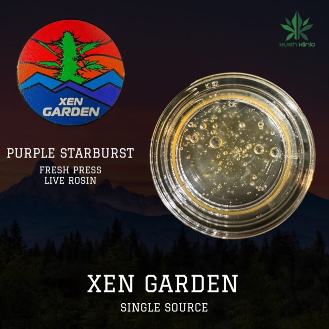 Xen Garden - Purple Starburst 2g FRESH PRESS Live Rosin