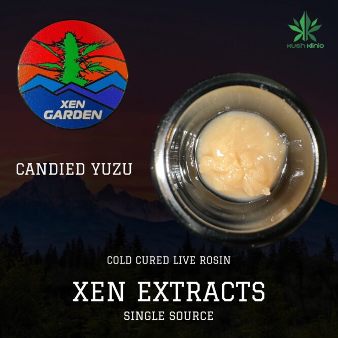 Xen Garden - Candied Yuzu 2g Cold Cure Live Rosin