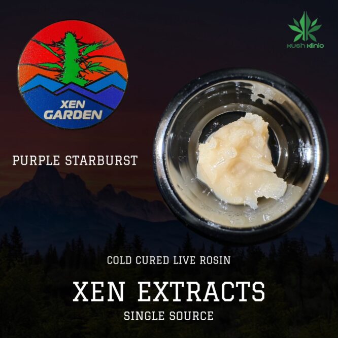 Xen Garden - Purple Starburst 2g Cold Cure Live Rosin
