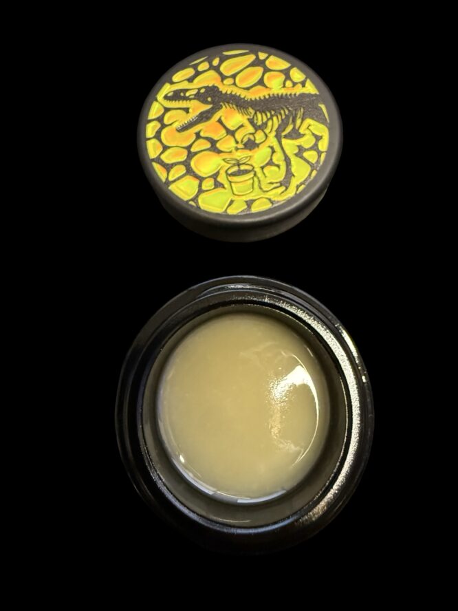 Dino Squish x Pure Melt - LOGZ #102 2G Cold Cure 73-99u - Image 2