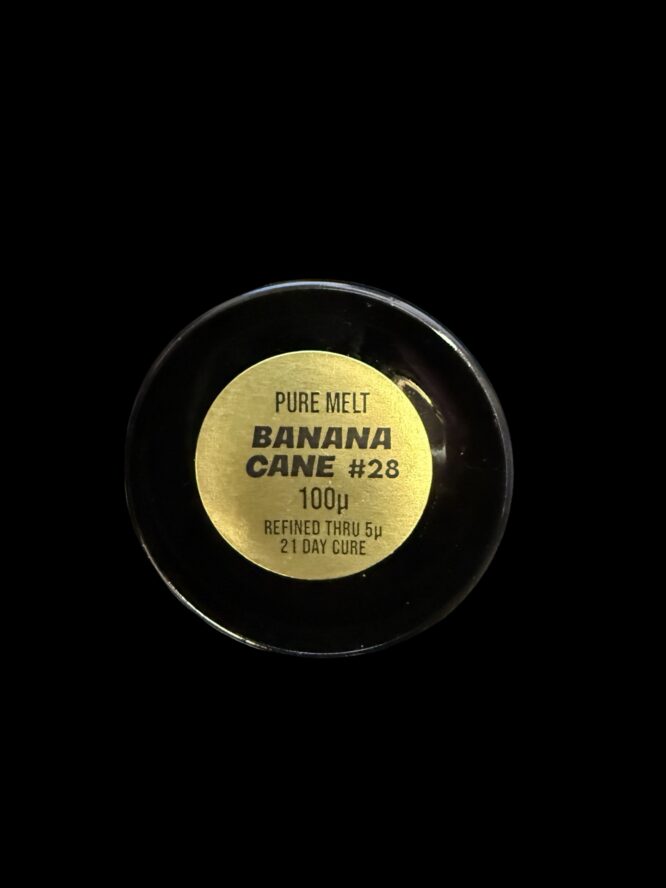 Dino Squish x Pure Melt -Banana Cane #28 2G Cold Cure 100u - Image 3
