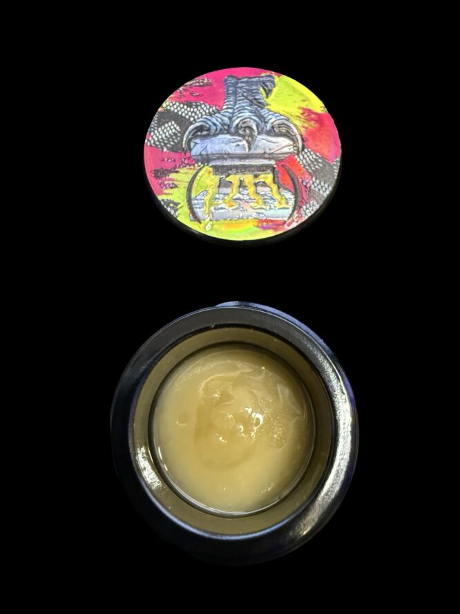 Dino Squish x Pure Melt - Whatever 2G Cold Cure 100u - Image 2