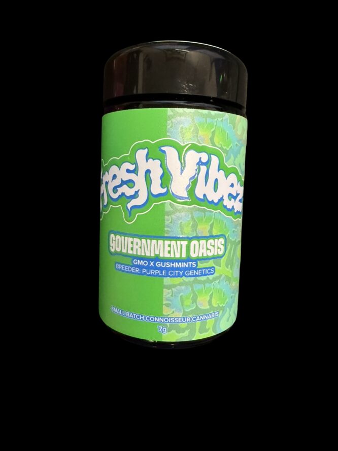 Fresh Vibez - Government Oasis - Image 2
