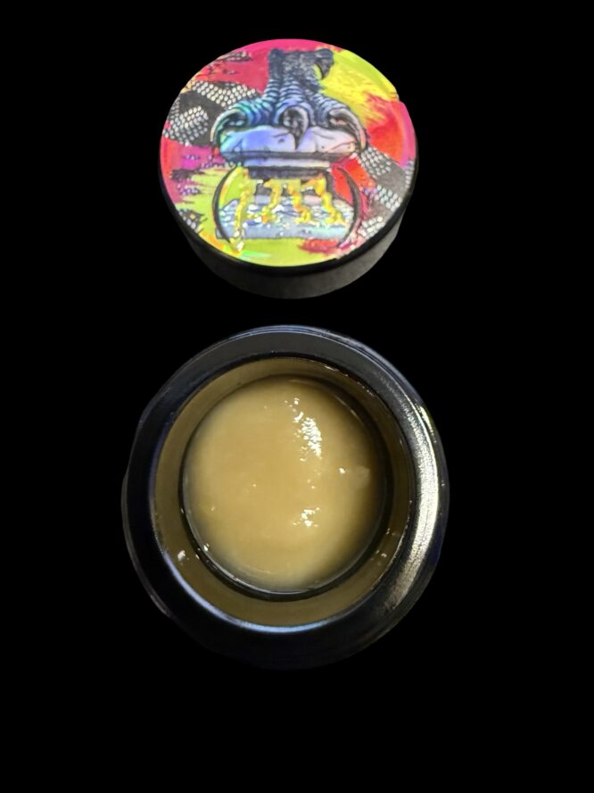 Dino Squish x Pure Melt - Whatever 2G Cold Cure 73-99u - Image 2