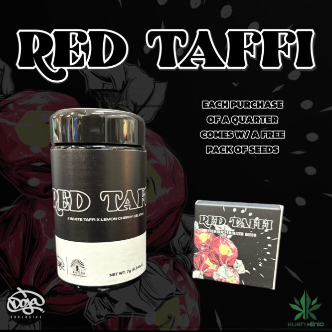 Doja X Duke Of Erb - Red Taffi
