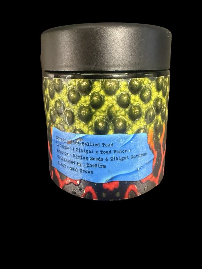 The Firm - Fire Belly Living Soil - Image 2