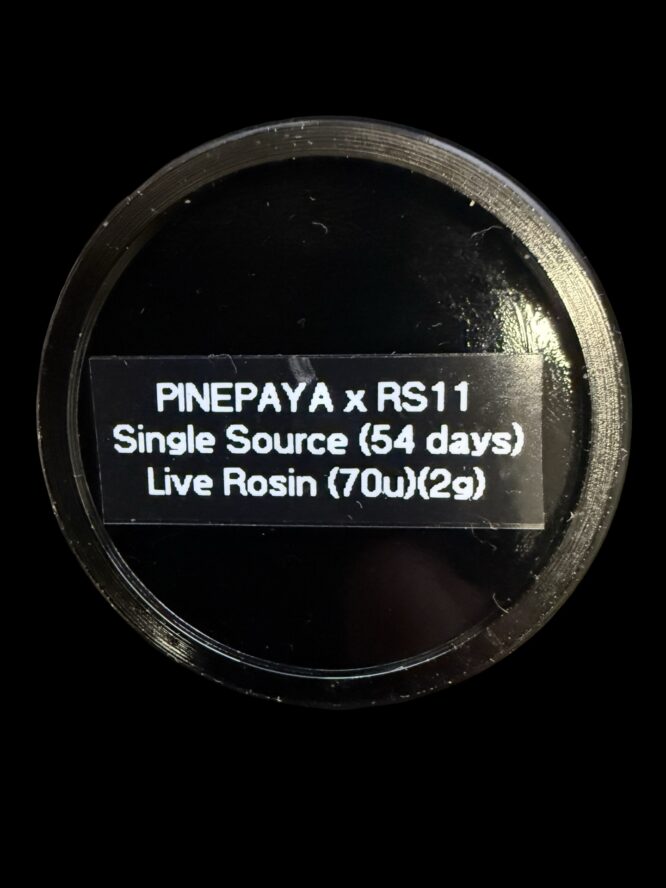 Trichadelics Single Source- Pinepaya x RS11 70u 2g Cold Cure - Image 3